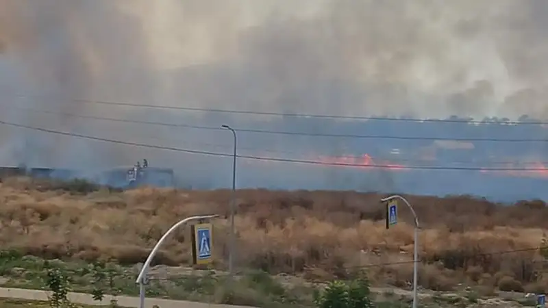 Пожар на большой площади произошел в Алматы