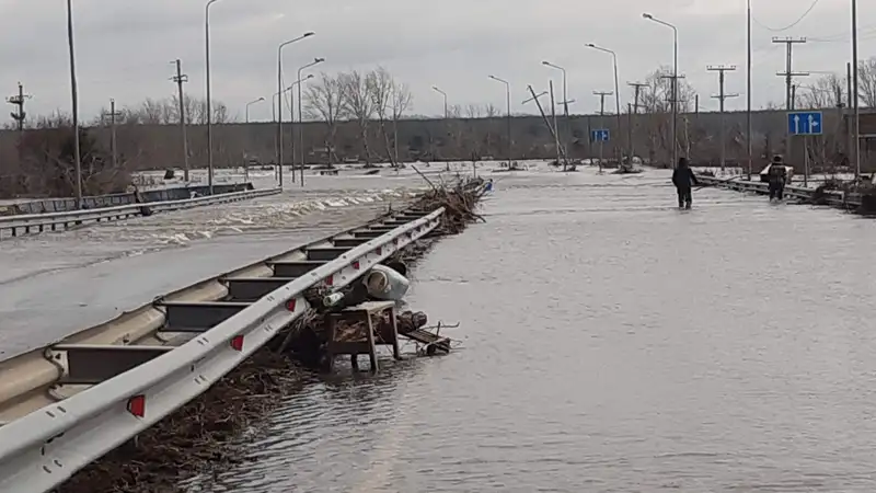 Гидрогеология, паводок 2024, спасатели, МЧС РК, водохранилища, грунтовые воды, фото — Новости Zakon.kz от 09.09.2024 11:37