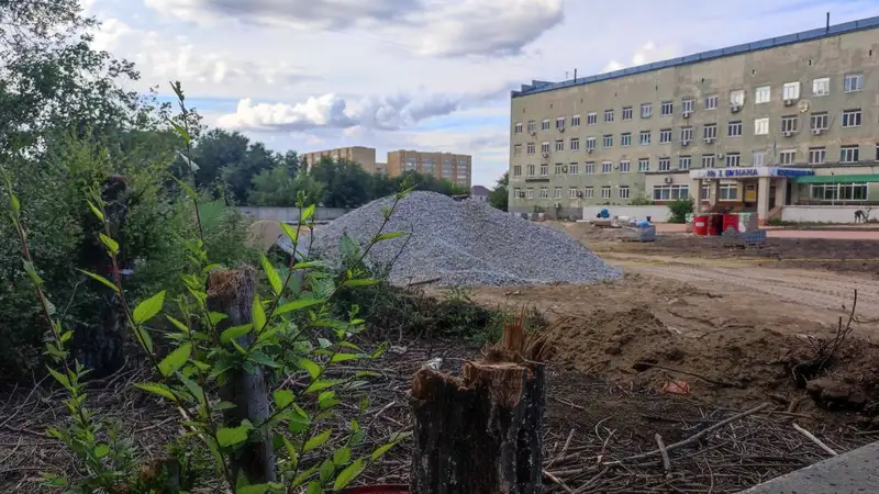 В Семее для создания нового сквера пустили под топор старый , фото - Новости Zakon.kz от 12.09.2024 11:24