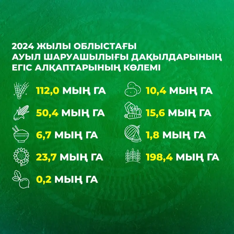 Щедрый урожай на полях Алматинской области: ставка на кормовые культуры и современные технологии, фото — Новости Zakon.kz от 11.09.2024 11:26