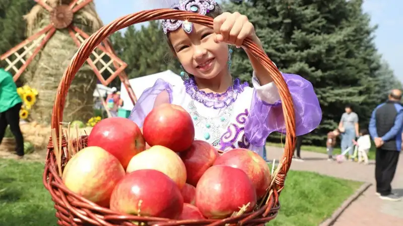 Apple Fest-2024: Нiro и Captown, 130 тонн яблок, 1 700 литров компота и цирк шапито