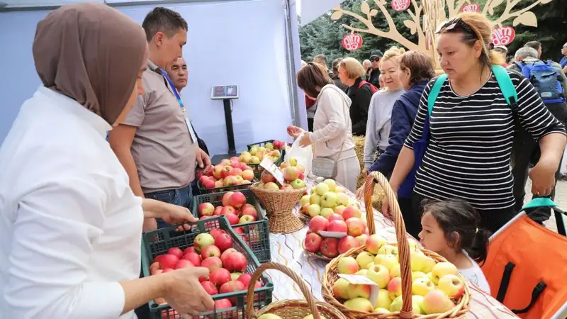 День города, Алматы,, фото — Новости Zakon.kz от 14.09.2024 13:29