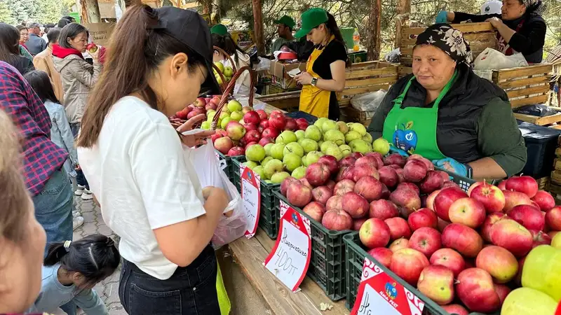 Apple fest в Алматы, яблоки, День города, фото - Новости Zakon.kz от 15.09.2024 17:42