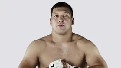 UFC Победа Нокаут