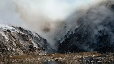 В Канаде собираются отменить налог за выбросы углерода, фото - Новости Zakon.kz от 06.10.2024 04:59