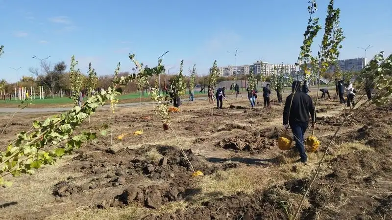 В Караганде за один день, фото — Новости Zakon.kz от 07.10.2024 14:15