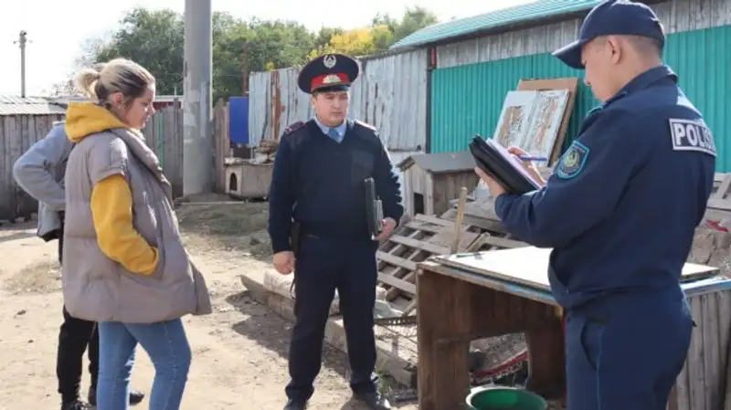 Волонтеры заявили о массовом отравлении собак в приюте Костаная, фото — Новости Zakon.kz от 07.10.2024 21:18