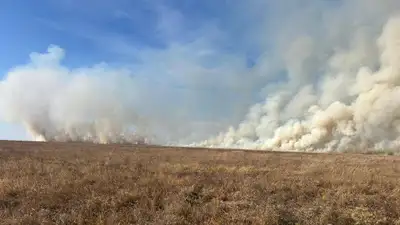 В шести районах Акмолинской области возникли природные пожары, фото - Новости Zakon.kz от 08.10.2024 18:39