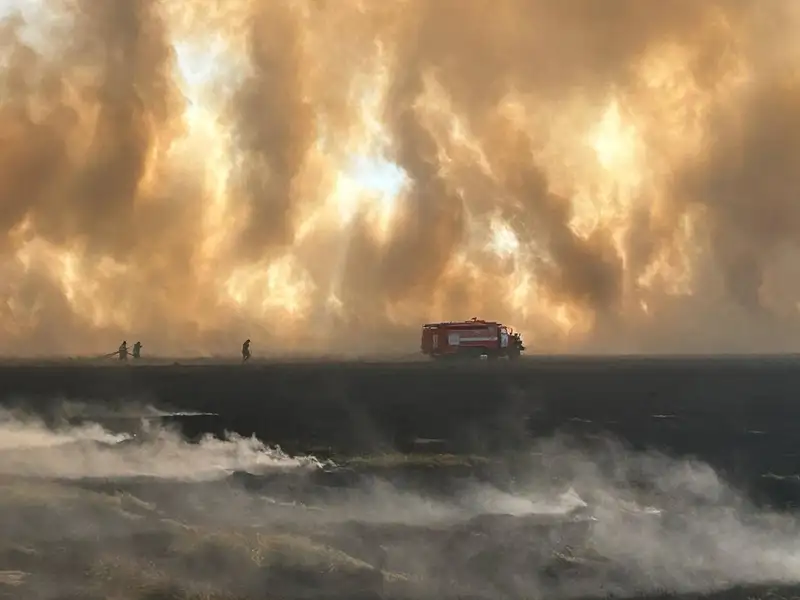 Природный пожар Акмолинской области, фото — Новости Zakon.kz от 08.10.2024 18:39