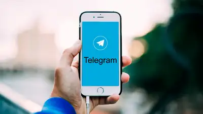 ООН назвал Telegram «местом для преступных группировок», фото - Новости Zakon.kz от 10.10.2024 04:20