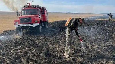 Крупный лесной пожар ликвидирован в Казахстане: МЧС показало кадры облета пепелища, фото - Новости Zakon.kz от 09.10.2024 12:42