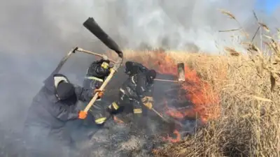 В Атырау не хватает техники для тушения пожаров в труднодоступных местах, фото - Новости Zakon.kz от 10.10.2024 16:33