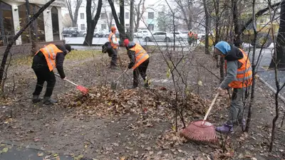 В Алматы стартует кампания &quot;Жарқын күз&quot;, фото - Новости Zakon.kz от 17.10.2024 17:54