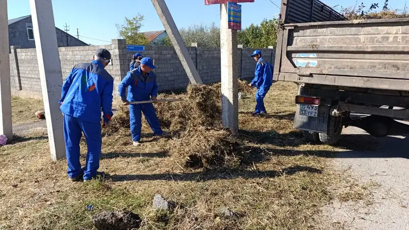 Город объединился ради экологии, фото - Новости Zakon.kz от 17.10.2024 15:54