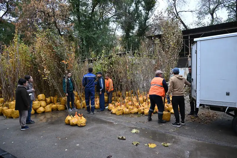 выдача саженцев, фото - Новости Zakon.kz от 18.10.2024 18:29