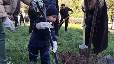 Алматы, акция, озеленение города