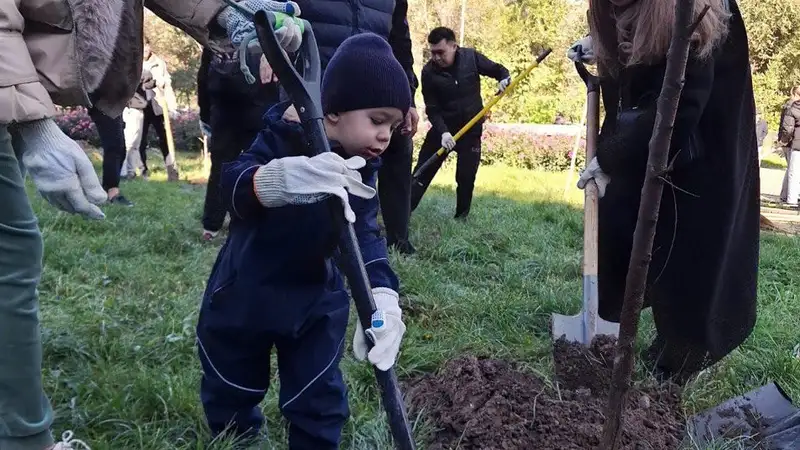 Более 10 тысяч деревьев высадили алматинцы во время акции "Жарқын күз"