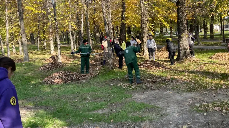 Продолжается в Жамбылской области, фото — Новости Zakon.kz от 31.10.2024 11:47