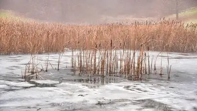 погода в Казахстане на ноябрь, фото - Новости Zakon.kz от 01.11.2024 19:42