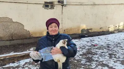 Актобе, кошка, МЧС