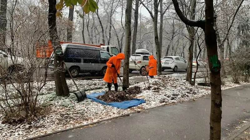 Сколько снега выпало в Алматы и когда он прекратится, фото - Новости Zakon.kz от 22.11.2024 10:23