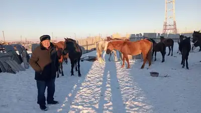 Полицейские нашли табун лошадей в Костанайской области