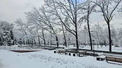 Алматы, Алматы зимой, Алматы зима, виды города Алматы, зима в Алматы, зимой в Алматы, зимний Алматы, заморозки в Алматы, мороз в Алматы, снег в Алматы, похолодание в Алматы, фото - Новости Zakon.kz от 08.01.2025 15:02