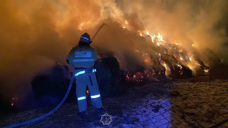 Спасатели потушили пожар, фото - Новости Zakon.kz от 27.11.2024 06:49