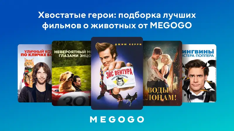 Топ-10 фильмов о домашних животных – смотрите на MEGOGO