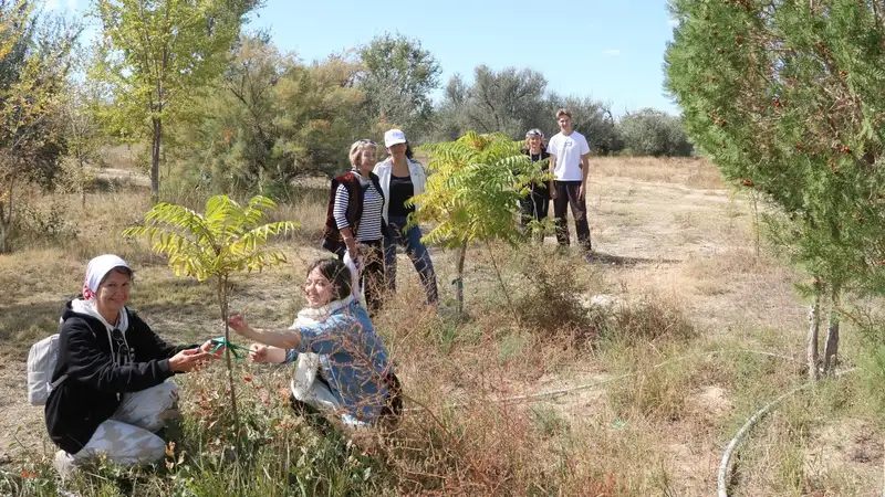 В селе Уштаган, которое находится в песках Бостанкум в Мангистауской области, расширяют парк, фото - Новости Zakon.kz от 29.11.2024 17:02