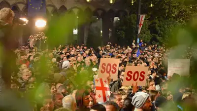 Митинг в Грузии перерос в беспорядки