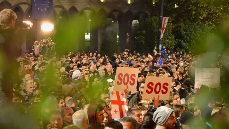 Пулемет-фейерверк и коктейли Молотова: митинг в Грузии перерос в беспорядки