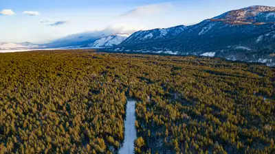 Nature, nature of Kazakhstan, Kazakhstan, tourism, tourism in Kazakhstan, East Kazakhstan region, East Kazakhstan region, winter, photo - Zakon.kz News from 01/28/2025 12:00