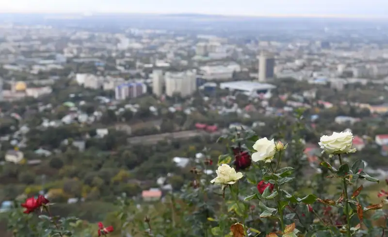 Алматы возвращает статус города-сада, фото - Новости Zakon.kz от 06.12.2024 10:59