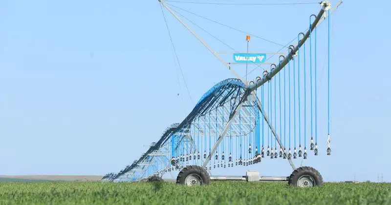 В Казахстане получен рекордный урожай зерновых, фото — Новости Zakon.kz от 06.12.2024 09:13