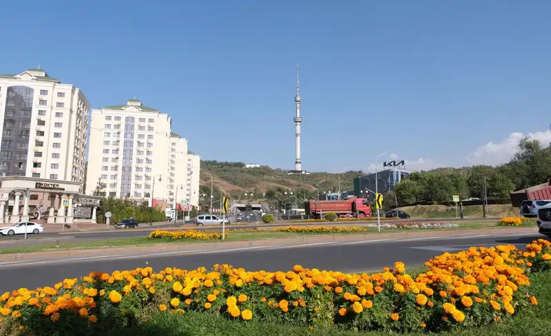 Алматы возвращает статус города-сада, фото - Новости Zakon.kz от 06.12.2024 10:59