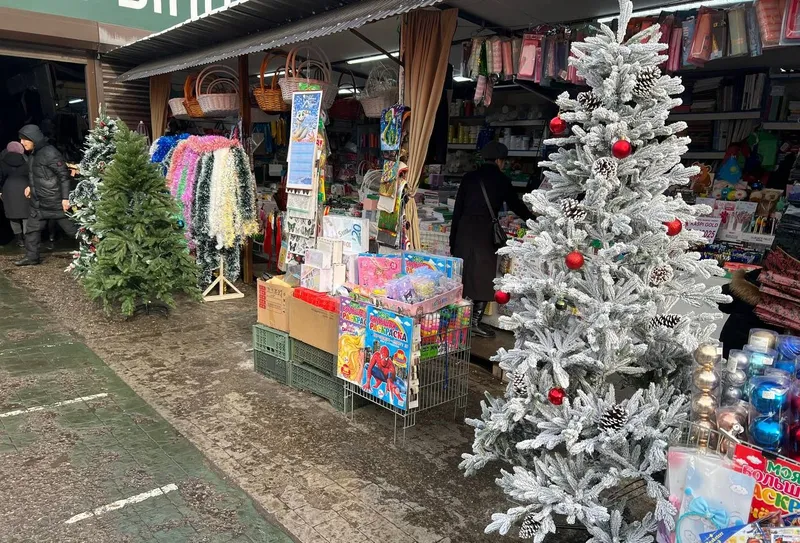 Сколько стоят елки в Казахстане и где их можно купить, фото - Новости Zakon.kz от 20.12.2024 16:53