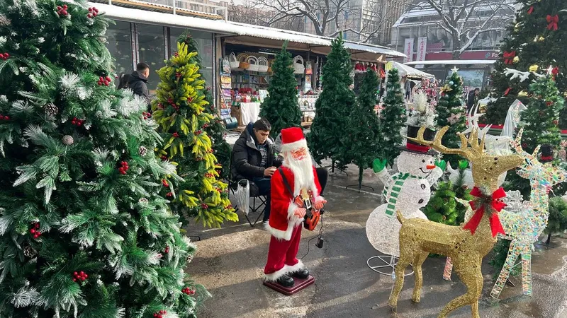 Сколько стоят елки в Казахстане и где их можно купить, фото - Новости Zakon.kz от 20.12.2024 16:53