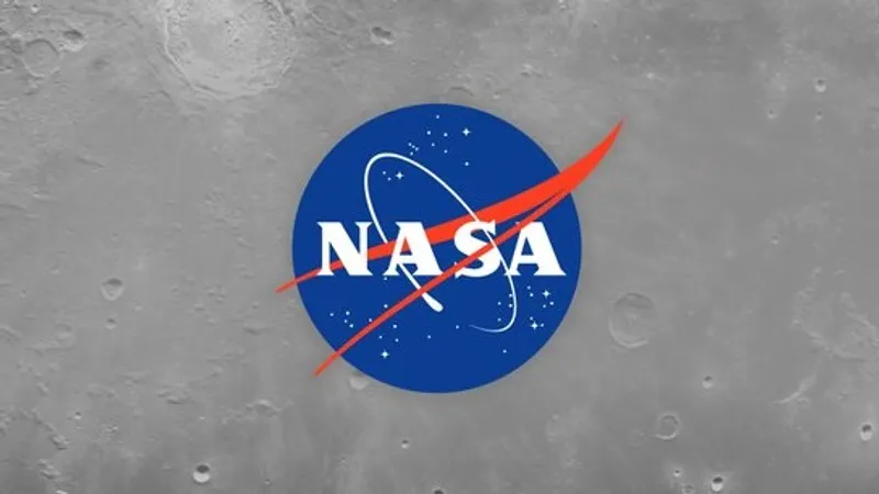 NASA показало елку в космосе