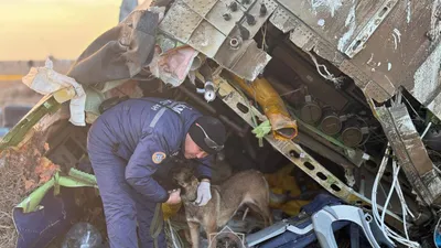 Расшифровка черных ящиков авиакатастрофы в Актау начнется после прибытия экспертов, фото - Новости Zakon.kz от 26.12.2024 20:04