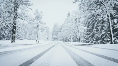 Закрытая трасса, закрыто, стоп, снег, снегопад, метель, закрытая дорога, непогода, перекрытая дорога, дорога закрыта, заносы, занос , фото - Новости Zakon.kz от 05.01.2025 01:08