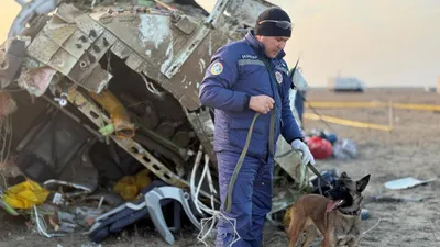 Авиакатастрофа в Актау: азербайджанцы записывают видео с благодарностью к казахстанцам, фото - Новости Zakon.kz от 28.12.2024 15:27