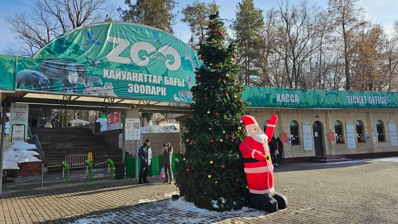 Жених для медведицы Пурги и новые вольеры: что ждет Алматинский зоопарк в 2025 году