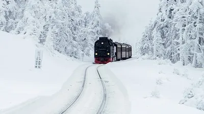 в Норвегии пассажиры застряли в поезде без отопления, фото - Новости Zakon.kz от 01.01.2025 22:34