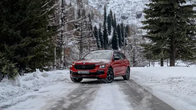 Škoda Kamiq в Казахстане, городской компактный кроссовер , фото - Новости Zakon.kz от 08.01.2025 15:08