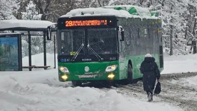 как изменится погода в Казахстане с 9 по 11 января, фото - Новости Zakon.kz от 08.01.2025 13:12