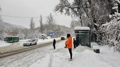 Служба спасения Алматы выступила с важным обращением, фото - Новости Zakon.kz от 08.01.2025 18:01